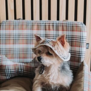 Chapéu Luxury Escocês