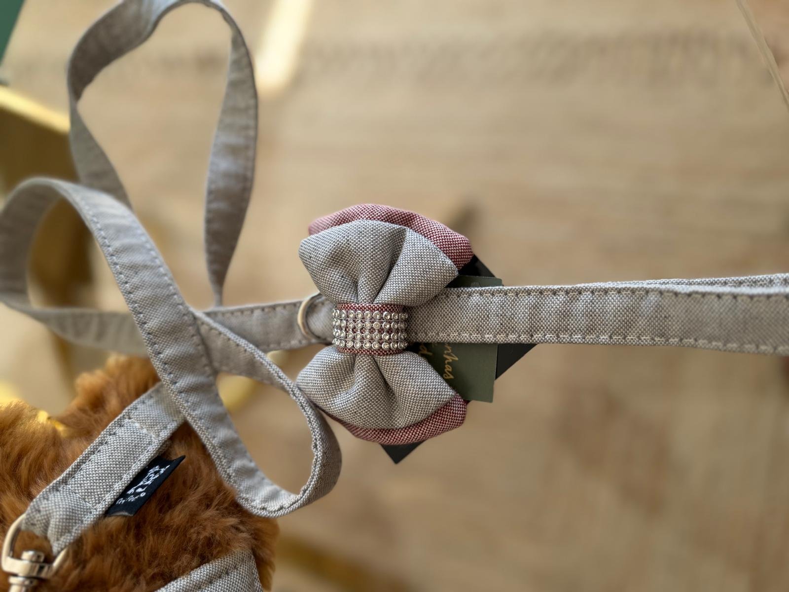 Trela Laço Strass - Image 3