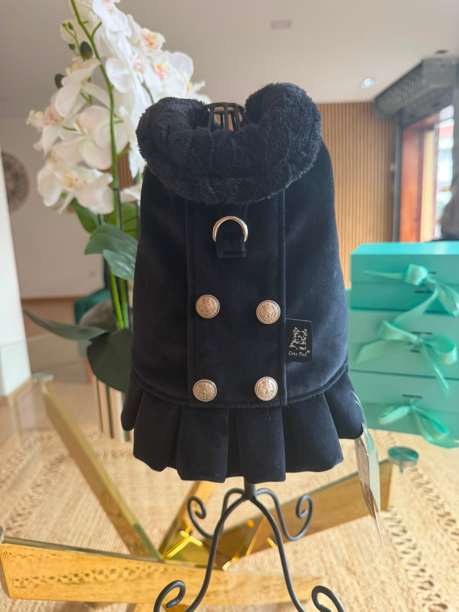 Bat-Jacket Ruffle Veludo Elegance Preto