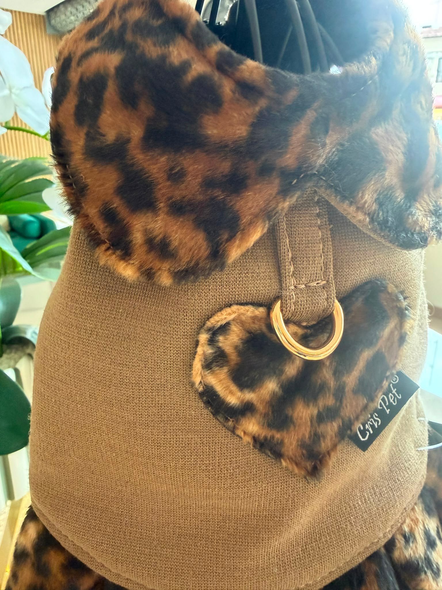 Bat-Jacket Ruffle Leopardo Camel - Image 2
