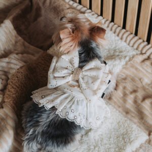 Peitoral Bat-Dog Luxury Premium Ruffle