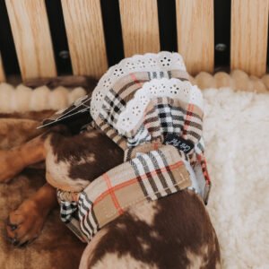 Cueca Higiénica Escocês com Folho Duplo em Bordado Inglês