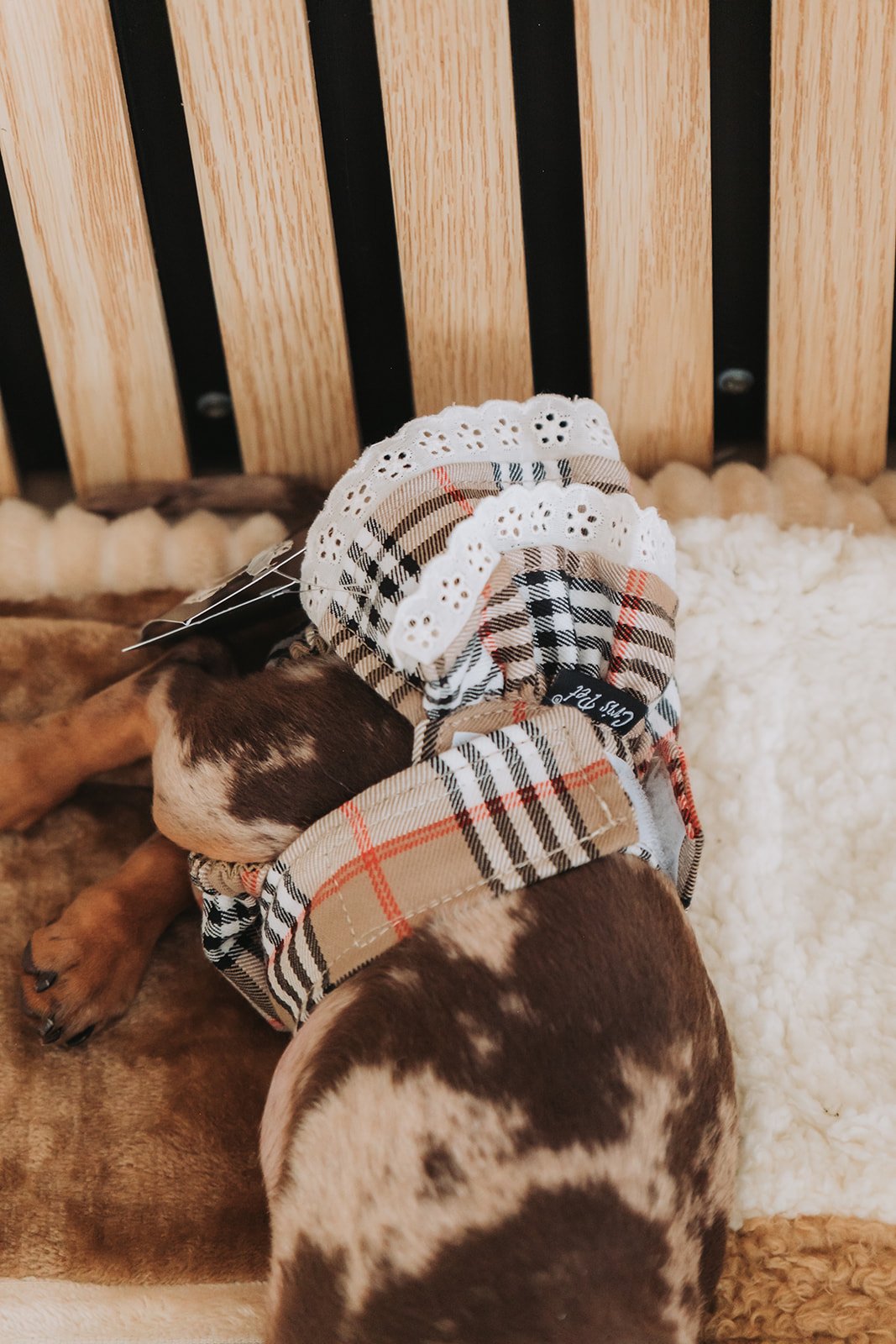 Cueca Higiénica Escocês com Folho Duplo em Bordado Inglês
