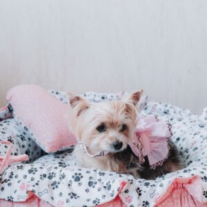 Cama Redonda Ruffle 2 em 1 Patinhas Coral