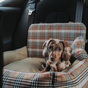 Cadeira Auto Luxury Premium
