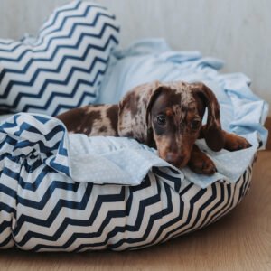 Cama Redonda Ruffle 2 em 1 Ziguezague Azul