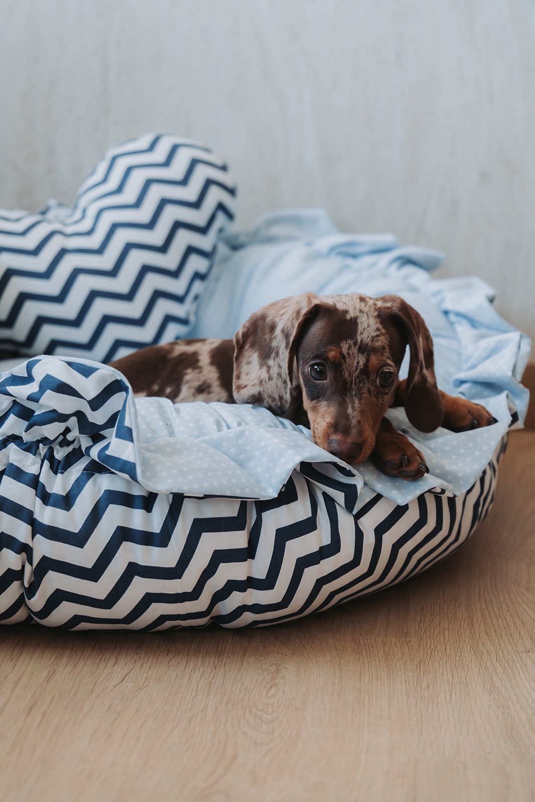 Cama Redonda Ruffle 2 em 1 Ziguezague Azul