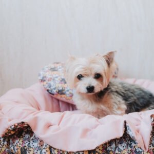 Cama Redonda Ruffle 2 em 1 Gatinhos Rosa