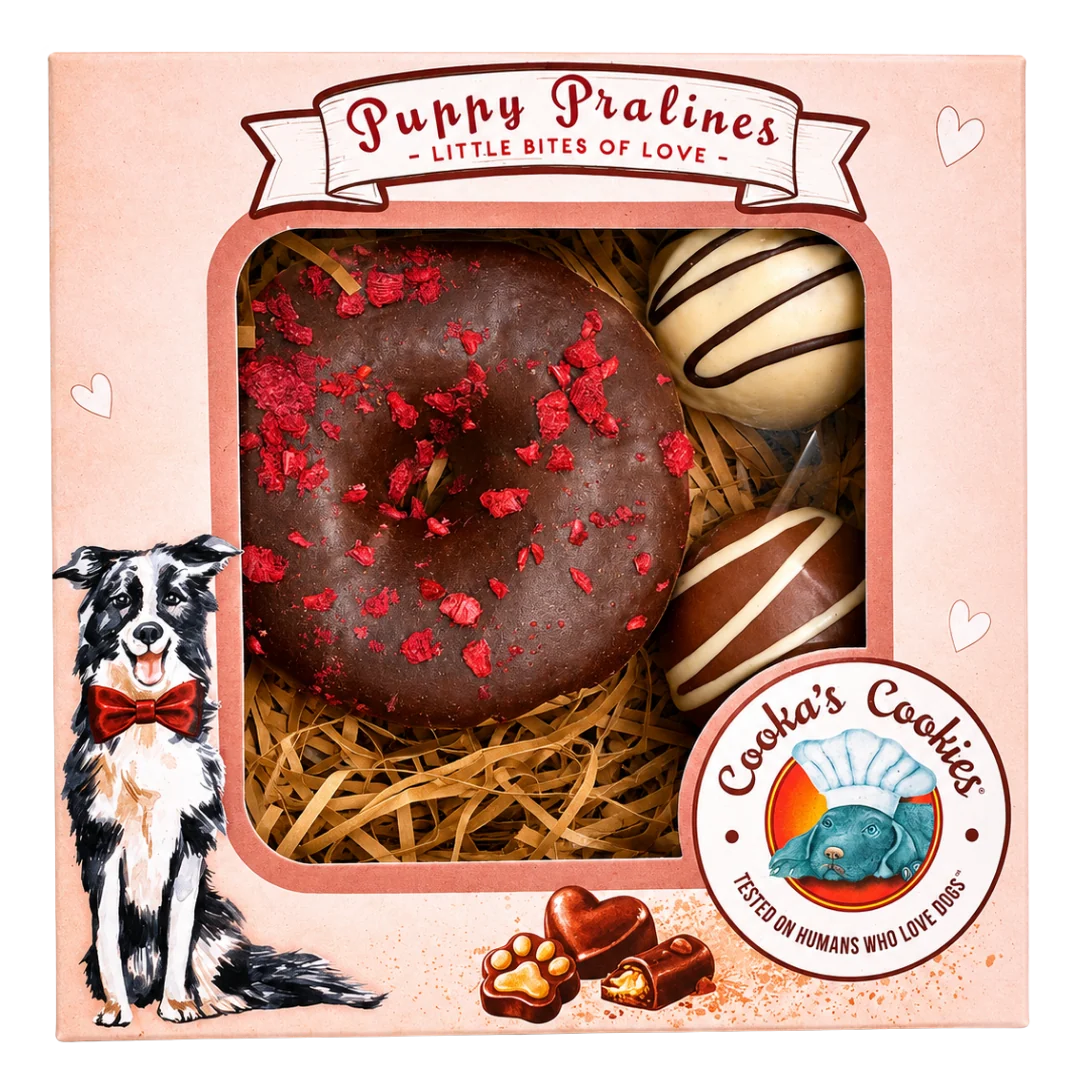 Gourmet Treats | Puppy Pralines